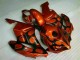 CBR 1000 RR 2004-2005 Verkleidungen - Braun Schwarz CBR 1000 RR 2004-2005 Verkleidungen - Braun Schwarz