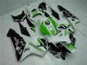 CBR 600 RR 2005-2006 Verkleidung - Grün CBR 600 RR 2005-2006 Verkleidung - Grün