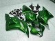 CBR 600 RR 2009-2012 Verkleidungen - Grün CBR 600 RR 2009-2012 Verkleidungen - Grün