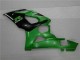 GSXR 1000 K5 2005-2006 Verkleidung - Grün GSXR 1000 K5 2005-2006 Verkleidung - Grün