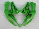 GSXR 1000 K5 2005-2006 Verkleidungen - Grün GSXR 1000 K5 2005-2006 Verkleidungen - Grün