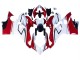 Rabatt Ducati Panigale V4 V4S Motorrad Verkleidung 2018-2019 - Weiss Rot Grun Glanzendes Schwarz