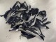 Rabatt BMW S1000RR Motorrad Verkleidung 2023-2024 - Glanzendes Schwarz Carbonfaser