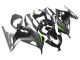 Rabatt Kawasaki EX300 Motorrad Verkleidung 2013-2017 - Glanzendes Schwarz Matt Schwarz Grun