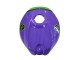 Rabatt Aprilia RS125 Motorrad Verkleidung 2006-2011 - Lila Grun Rot