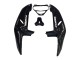 Rabatt Honda CBR900RR 919 Motorrad Verkleidung 1998-1999 - Glanzendes Schwarz Weiss Aufkleber