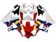 Rabatt Honda CBR900RR 919 Motorrad Verkleidung 1998-1999 - Weiss Rot Gelb Blau
