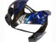 Rabatt Honda CBR600RR Motorrad Verkleidung 2005-2006 - Glanzendes Schwarz Blau Flamme