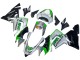 Rabatt Kawasaki ZX10R Motorrad Verkleidung 2004-2005 - Grun Silber Schwarz 69