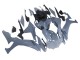 Rabatt Yamaha YZF 1000 R1 Motorrad Verkleidung 2020-2025 - Glanzendes Grau