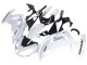 Rabatt Kawasaki EX650 Motorrad Verkleidung 2012-2016 - Weiss Schwarz