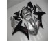 R1 2002-2003 Verkleidung - Silber Schwarz