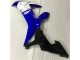R1 2002-2003 Vollverkleidung - Blau Weiß