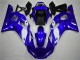R6 1998-2002 Verkleidungen - Weiß Blau R6 1998-2002 Verkleidungen - Weiß Blau