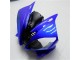 R6 2006-2007 VollVerkleidungen & Plastik - Blau Schwarz