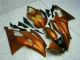 R6 2008-2016 Verkleidungen - Orange R6 2008-2016 Verkleidungen - Orange
