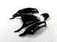 ZX14R ZZR 1400 2012-2021 Verkleidungen - Schwarz Grün ZX14R ZZR 1400 2012-2021 Verkleidungen - Schwarz Grün