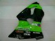 ZX6R 2000-2002 Verkleidung - Grün ZX6R 2000-2002 Verkleidung - Grün