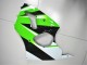 ZX6R 2000-2002 Verkleidungen - Grün Weiß Schwarz ZX6R 2000-2002 Verkleidungen - Grün Weiß Schwarz