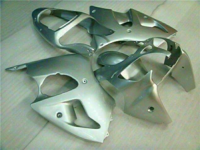 ZX6R 2000-2002 Verkleidungen - Silber
