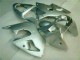ZX6R 2000-2002 Verkleidungen - Silber