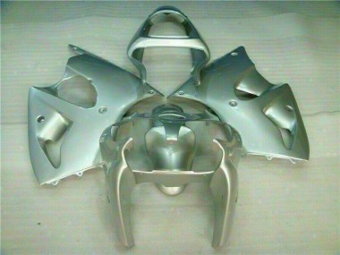 ZX6R 2000-2002 Verkleidungen - Silber