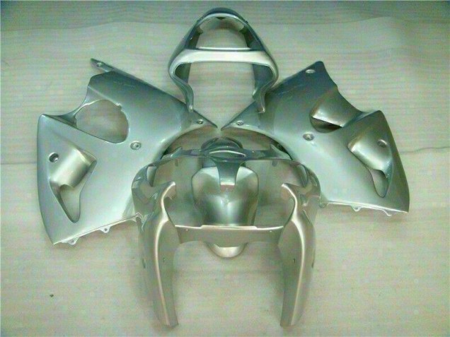 ZX6R 2000-2002 Verkleidungen - Silber
