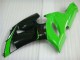 ZX6R 2005-2006 Verkleidungen - Grün Weiß Schwarz