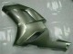 ZX6R 2007-2008 Verkleidungen - Silber ZX6R 2007-2008 Verkleidungen - Silber