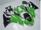 ZX6R 2009-2012 Vollverkleidung - Grün Schwarz