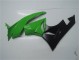 ZX6R 2009-2012 Vollverkleidung - Grün Schwarz