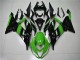 ZX6R 2013-2018 Verkleidung - Grün Schwarz ZX6R 2013-2018 Verkleidung - Grün Schwarz