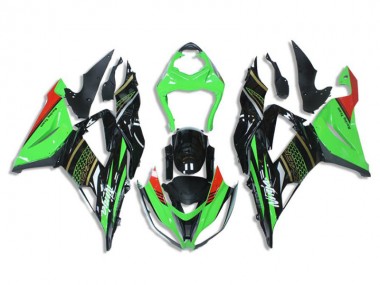 ZX6R 2013-2018 Verkleidungen - Grün Schwarz